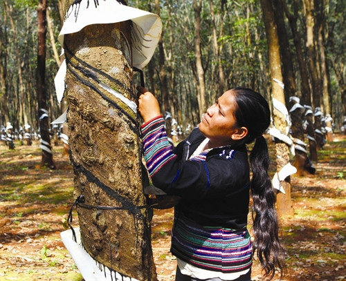 Thi công công trình thủy lợi Ia Mơ (Gia Lai) Việc xây dựng và gìn giữ bản sắc văn hóa dân tộc trên địa bàn tỉnh Gia Lai đã góp phần không nhỏ vào việc xây dựng và phát triển văn hóa Việt Nam tiên tiến, đậm đà bản sắc dân tộc Công tác giáo dục trong các trường phổ thông dân tộc nội trú tỉnh và huyện thời gian qua đã có bước chuyển biến tích cực, góp phần đắc lực trong việc đào tạo nguồn cán bộ cho địa phương Tỉnh Gia Lai chú trọng bảo tồn và phát triển nghề dệt thổ cẩm truyền thống Cao su - cây xóa đói giảm nghèo bền vững của đồng bào các dân tộc ở tỉnh Gia Lai Giờ học hướng nghiệp cắt may của học sinh Trường Trung học Phổ thông Dân tộc nội trú Đông Gia Lai Đồng bào dân tộc ở nhiều buôn làng vùng sâu của tỉnh Gia Lai giờ đã được sử dụng nước sinh hoạt hợp vệ sinh Thi công công trình thủy lợi Ia Mơ (Gia Lai) Việc xây dựng và gìn giữ bản sắc văn hóa dân tộc trên địa bàn tỉnh Gia Lai đã góp phần không nhỏ vào việc xây dựng và phát triển văn hóa Việt Nam tiên tiến, đậm đà bản sắc dân tộc Công tác giáo dục trong các trường phổ thông dân tộc nội trú tỉnh và huyện thời gian qua đã có bước chuyển biến tích cực, góp phần đắc lực trong việc đào tạo nguồn cán bộ cho địa phương Tỉnh Gia Lai chú trọng bảo tồn và phát triển nghề dệt thổ cẩm truyền thống Cao su - cây xóa đói giảm nghèo bền vững của đồng bào các dân tộc ở tỉnh Gia Lai Giờ học hướng nghiệp cắt may của học sinh Trường Trung học Phổ thông Dân tộc nội trú Đông Gia Lai Đồng bào dân tộc ở nhiều buôn làng vùng sâu của tỉnh Gia Lai giờ đã được sử dụng nước sinh hoạt hợp vệ sinh