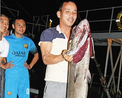 Câu cá đêm trên biển Trường Sa ảnh 1