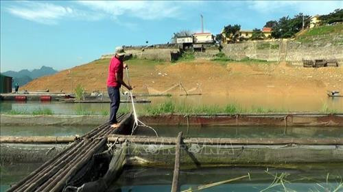 Hộ gia đình anh Lê Đình Hợi nuôi cá lồng tại lòng hồ sông Đà. Ảnh: Thanh Hải – TTXVN