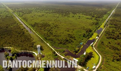 Toàn cảnh Vườn Quốc gia U Minh Thượng nhìn từ trên cao. Ảnh: An Hiếu Toàn cảnh Vườn Quốc gia U Minh Thượng nhìn từ trên cao. Ảnh: An Hiếu