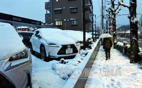 Dự báo tuyết còn rơi dày ở nhiều nơi thuộc Nhật Bản. AFP/TTXVN