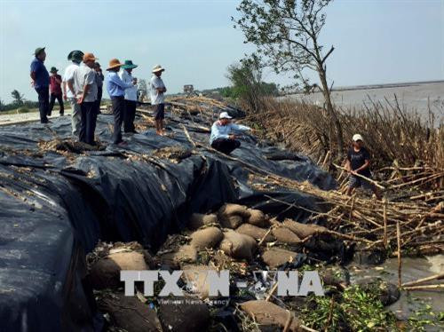 Chủ đầu tư và đơn vị thi công tiến hành khảo sát nắm tình hình sạt lở tại huyện Ngọc Hiển, tỉnh Cà Mau để chọn giải pháp đầu tư công trình kè bảo vệ bờ biển phù hợp. Ảnh: TTXVN phát Chủ đầu tư và đơn vị thi công tiến hành khảo sát nắm tình hình sạt lở tại huyện Ngọc Hiển, tỉnh Cà Mau để chọn giải pháp đầu tư công trình kè bảo vệ bờ biển phù hợp. Ảnh: TTXVN phát