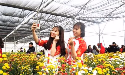 Cánh đồng hoa hướng dương ở Quảng Bình hút du khách ngày đầu năm mới ảnh 6