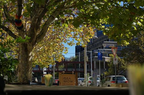 Canberra mùa Thu ảnh 9 Canberra mùa Thu ảnh 9