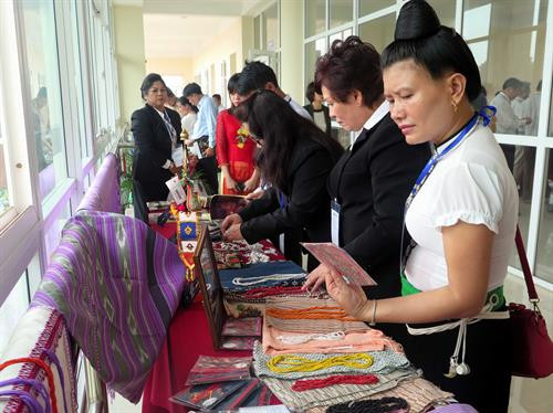 Việt Nam chia sẻ kinh nghiệm xây dựng chính sách hỗ trợ lao động việc làm cho người dân tộc thiểu số ảnh 8