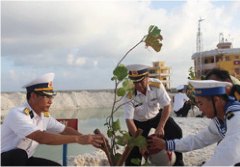 Trồng cây xanh trên đảo Đá Tây A Trồng cây xanh trên đảo Đá Tây A