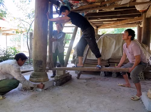 Anh Màng Văn Đoàn giúp gia đình nhà vợ chuẩn bị lát gầm sàn nhà. Ảnh: Nguyễn Công Hải - TTXVN Anh Màng Văn Đoàn giúp gia đình nhà vợ chuẩn bị lát gầm sàn nhà. Ảnh: Nguyễn Công Hải - TTXVN