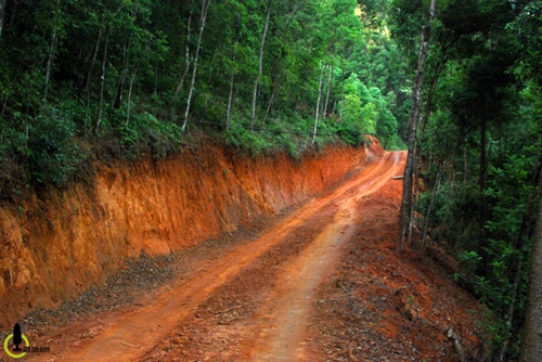 Là hai thôn thuộc diện nghèo nhất huyện, đường đi lên Mang Mủ ngày nay đặc biệt khó khăn với dốc cao, bùn lầy trên con đường độc đạo dẫn lên đỉnh núi, và chỉ có thể tiếp cận được vào ngày nắng khô ráo. Là hai thôn thuộc diện nghèo nhất huyện, đường đi lên Mang Mủ ngày nay đặc biệt khó khăn với dốc cao, bùn lầy trên con đường độc đạo dẫn lên đỉnh núi, và chỉ có thể tiếp cận được vào ngày nắng khô ráo.