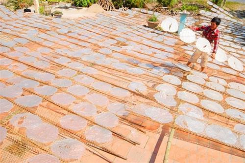 Làng nghề làm bánh tráng Tết cho thu nhập cao ở Cần Thơ ảnh 4 Làng nghề làm bánh tráng Tết cho thu nhập cao ở Cần Thơ ảnh 4