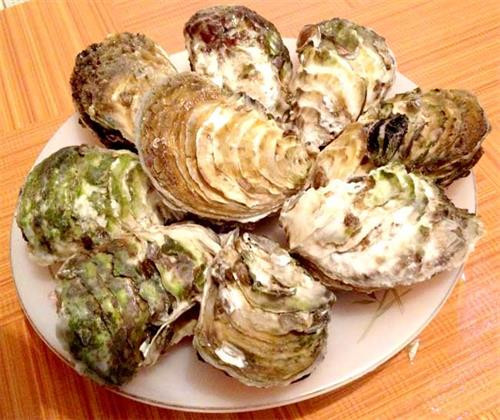 Vỏ hàu là vị thuốc quý ảnh 1 Vỏ hàu là vị thuốc quý ảnh 1