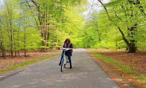 Những trải nghiệm thú vị ở Hà Lan - đất nước thiên đường ảnh 6 Những trải nghiệm thú vị ở Hà Lan - đất nước thiên đường ảnh 6