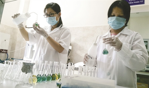 Nghiên cứu các giống lúa mới theo hướng "năng suất và chất lượng" ở Trung tâm nghiên cứu nông nghiệp Định Thành (An Giang) Nghiên cứu các giống lúa mới theo hướng "năng suất và chất lượng" ở Trung tâm nghiên cứu nông nghiệp Định Thành (An Giang)