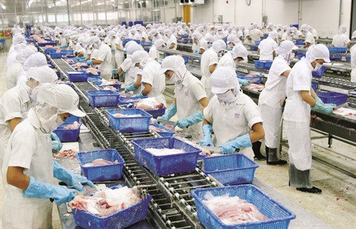 Lĩnh vực chế biến thủy sản thu hút hàng chục nghìn lao động ở vùng Tứ giác Long Xuyên Lĩnh vực chế biến thủy sản thu hút hàng chục nghìn lao động ở vùng Tứ giác Long Xuyên