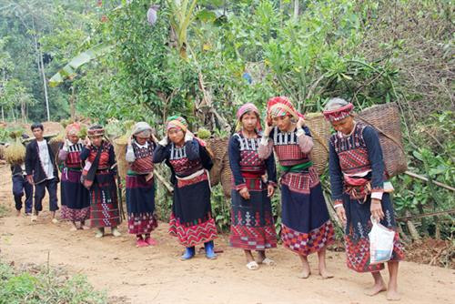 Gia chủ làm lễ giữ hồn lúa mẹ tại nương lúa. Sau khi gặt xong, các gia đình gùi lúa về nhà. Họ cùng nhau giã gạo để nấu cơm mới, chuẩn bị cho các nghi thức trong ngày hội. Chủ nương làm mâm lễ cúng mừng cơm mới. Chủ nhà dâng cơm mới mời tổ tiên về hưởng và phù hộ cho gia đình con cháu sang năm mùa màng bội thu, cuộc sống no đủ. Bà chủ nhà lấy cum lúa đè lên hồn vía lúa (dùng lá ngái bọc hồn vía lúa) giữ trên sàn gác. Mâm cơm mới dành cho vợ chồng chủ nhà theo đúng nghi thức. Người Xá Phó cùng nhau hát múa theo nghi thức truyền thống trong ngày tổ chức lễ hội “Già sợ da”. Gia chủ làm lễ giữ hồn lúa mẹ tại nương lúa. Sau khi gặt xong, các gia đình gùi lúa về nhà. Họ cùng nhau giã gạo để nấu cơm mới, chuẩn bị cho các nghi thức trong ngày hội. Chủ nương làm mâm lễ cúng mừng cơm mới. Chủ nhà dâng cơm mới mời tổ tiên về hưởng và phù hộ cho gia đình con cháu sang năm mùa màng bội thu, cuộc sống no đủ. Bà chủ nhà lấy cum lúa đè lên hồn vía lúa (dùng lá ngái bọc hồn vía lúa) giữ trên sàn gác. Mâm cơm mới dành cho vợ chồng chủ nhà theo đúng nghi thức. Người Xá Phó cùng nhau hát múa theo nghi thức truyền thống trong ngày tổ chức lễ hội “Già sợ da”.