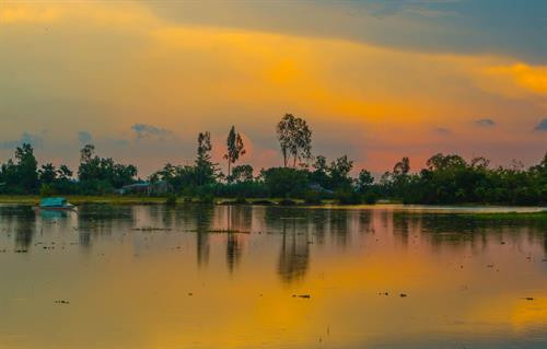 Cánh đồng mùa nước nổi ở Hậu Giang. Ảnh: Duy Khương - TTXVN