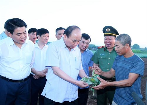 Sáng 27/9/2016, Thủ tướng Nguyễn Xuân Phúc, Phó Thủ tướng Vũ Đức Đam, Trưởng ban Chỉ đạo An toàn thực phẩm Trung ương đi kiểm tra công tác vệ sinh an toàn thực phẩm tại Hợp tác xã dịch vụ nông nghiệp Văn Đức tại xã Văn Đức, huyện Gia Lâm, Hà Nội. Ảnh: Thống Nhất-TTXVN