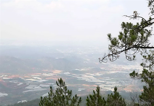 Không gian xanh trên cao nguyên