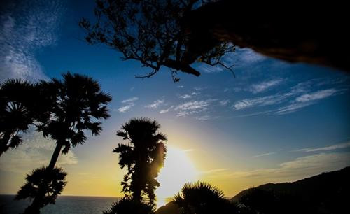 Nếu có thời gian, bạn nên đi bộ dọc con đường dẫn đến bãi biển. Đoạn đường khá xa và dốc nhưng hoàn toàn xứng đáng bởi phong cảnh độc đáo và bãi biển tuyệt đẹp với những rặng san hô màu sắc, ít bị tác động bởi con người. Nếu có thời gian, bạn nên đi bộ dọc con đường dẫn đến bãi biển. Đoạn đường khá xa và dốc nhưng hoàn toàn xứng đáng bởi phong cảnh độc đáo và bãi biển tuyệt đẹp với những rặng san hô màu sắc, ít bị tác động bởi con người.