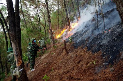 Sau đợt cháy rừng từ ngày 28 - 30/6, hàng trăm héc-ta rừng tại huyện Nghi Xuân (Hà Tĩnh) đã bị thiêu rụi, không còn khả năng tái sinh. Ảnh: Hoàng Ngà Khoảng 22 giờ ngày 26/6, một vụ cháy rừng đã xảy ra trên địa bàn xã Khánh Sơn 1, huyện Nam Đàn (Nghệ An), để lại nhiều thiệt hại nghiêm trọng. Trong ảnh: Chung tay với địa phương, cán bộ, chiến sĩ Bộ Chỉ huy quân sự tỉnh Nghệ An và Lữ đoàn công binh 414 tham gia chữa cháy rừng. Ảnh: TTXVN