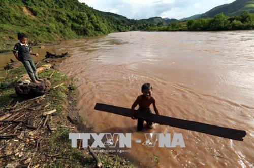 Những khúc củi, tấm gỗ do bọn trẻ vớt được tập kết trên bờ. Ảnh: Phan Tuấn Anh - TTXVN Niềm vui của cậu bé khi vớt được một thân cây to. Ảnh: Phan Tuấn Anh - TTXVN Đứng trên bờ nhìn thấy có củi trôi sông, các cậu bé ngay lập tức thi nhau nhảy xuống để vớt dù nước chảy xiết. Ảnh: Phan Tuấn Anh - TTXVN Để vớt được thanh củi to trôi dưới sông có khi phải 3 đứa trẻ mới đưa được vào bờ. Ảnh: Phan Tuấn Anh - TTXVN Một cậu bé vớt được thanh củi to trôi dưới sông. Ảnh: Phan Tuấn Anh - TTXVN Những khúc củi, tấm gỗ do bọn trẻ vớt được tập kết trên bờ. Ảnh: Phan Tuấn Anh - TTXVN Niềm vui của cậu bé khi vớt được một thân cây to. Ảnh: Phan Tuấn Anh - TTXVN Đứng trên bờ nhìn thấy có củi trôi sông, các cậu bé ngay lập tức thi nhau nhảy xuống để vớt dù nước chảy xiết. Ảnh: Phan Tuấn Anh - TTXVN Để vớt được thanh củi to trôi dưới sông có khi phải 3 đứa trẻ mới đưa được vào bờ. Ảnh: Phan Tuấn Anh - TTXVN Một cậu bé vớt được thanh củi to trôi dưới sông. Ảnh: Phan Tuấn Anh - TTXVN