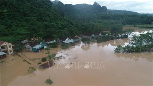 Nhiều bản làng ở huyện Con Cuông, Nghệ An bị ngập lụt nặng, đường giao thông sạt lở, hư hỏng. Ảnh: Phạm Hậu - TTXVN Nhiều bản làng ở huyện Con Cuông, Nghệ An bị ngập lụt nặng, đường giao thông sạt lở, hư hỏng. Ảnh: Phạm Hậu - TTXVN