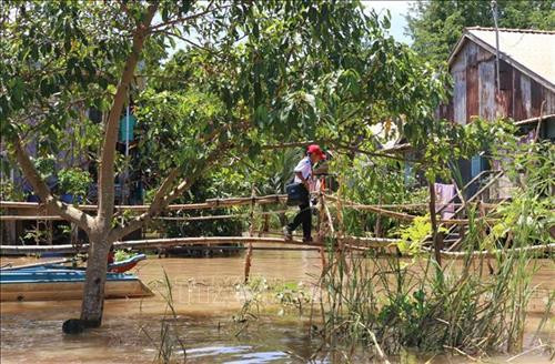 Các em học sinh Trường tiểu học B Vĩnh Hội Đông ở 2 ấp Vĩnh Hòa và Vĩnh An, dọc theo kênh Ngọn Cả Hàng sau khi được đưa bằng vỏ lãi, nhiều em còn phải băng qua cây cầu khỉ khá dài mới vào được nhà.