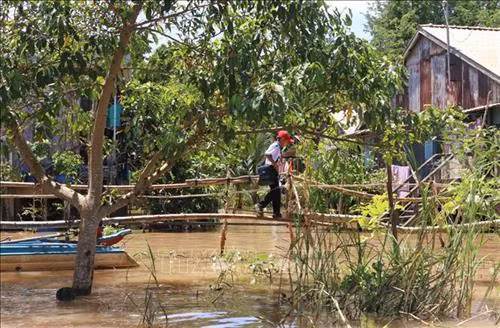 Các em học sinh Trường tiểu học B Vĩnh Hội Đông ở 2 ấp Vĩnh Hòa và Vĩnh An, dọc theo kênh Ngọn Cả Hàng sau khi được đưa bằng vỏ lãi, nhiều em còn phải băng qua cây cầu khỉ khá dài mới vào được nhà.
