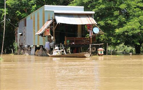 Mùa lũ, tất cả nhà của bà con ở 2 ấp Vĩnh Hòa và Vĩnh An, xã Vĩnh Hội Đông, huyện An Phú, tỉnh An Giang, dọc theo kênh Ngọn Cả Hàng đều bị nước lũ chia cắt, hoạt động đi lại phải dùng thuyền hoặc vỏ lãi.