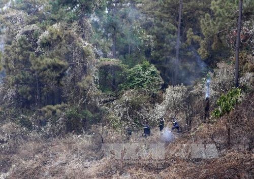 Cơ bản khống chế vụ cháy lớn tại rừng Nam Hải Vân ảnh 2