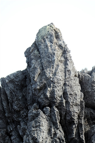 Một bông hoa đá trong Mê Cung Đá