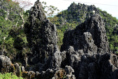 Các bông hoa đá trong Mê Cung