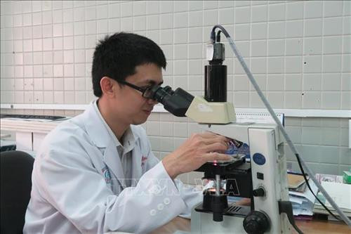 Bác sỹ Phạm Quang Thông trong một giờ nghiên cứu tại phòng thí nghiệm. Ảnh: Đinh Hằng - TTXVN Bác sỹ Phạm Quang Thông trong một giờ nghiên cứu tại phòng thí nghiệm. Ảnh: Đinh Hằng - TTXVN