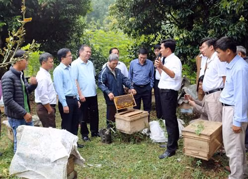 Các đại biểu tham quan mô hình nuôi ong tại xã Xuân Quang, huyện Bảo Thắng, tỉnh Lào Cai. Ảnh: baolaocai.vn