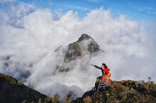 Mây bồng bềnh trên đỉnh Ngũ Chỉ Sơn. Ảnh: Hương Thu - TTXVN