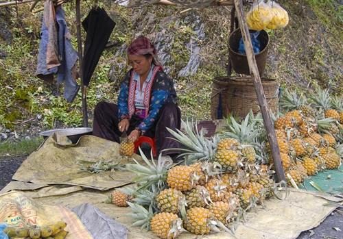 Người dân Mường Chà dựng lán bán dứa dọc Quốc lộ 12. Người dân Mường Chà dựng lán bán dứa dọc Quốc lộ 12.