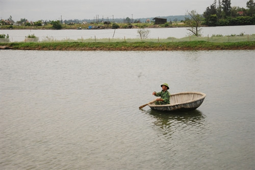 Mô hình mô hình nuôi trồng thủy hải sản của ông Nguyễn Ngọc Phượng, thôn Tân Mỹ, xã Vĩnh Giang mỗi năm mang lại gần 200 triệu đồng lợi nhuận. Mô hình mô hình nuôi trồng thủy hải sản của ông Nguyễn Ngọc Phượng, thôn Tân Mỹ, xã Vĩnh Giang mỗi năm mang lại gần 200 triệu đồng lợi nhuận.