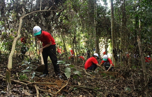 Các em học sinh và các tình nguyện viên tham gia trồng rừng. Ảnh: Trịnh Duy Hưng-TTXVN