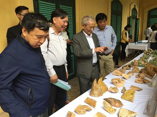 Các nhà khoa học nghiên cứu di vật được phát hiện qua đợt khai quật. Ảnh: Đinh Thuận - TTXVN Các nhà khoa học nghiên cứu di vật được phát hiện qua đợt khai quật. Ảnh: Đinh Thuận - TTXVN