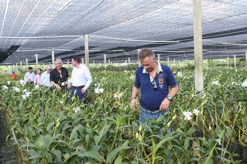 Đoàn doanh nghiệp và trường đại học Stenden thành phố Emmen (Hà Lan), thăm các nhà vườn trồng hoa để tìm hiểu cơ hội đầu tư vào tỉnh Đồng Tháp