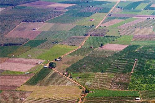Toàn cảnh thành phố Tây Ninh nhìn từ đỉnh núi Bà Đen. Ảnh: Lê Đức Hoảnh - TTXVN