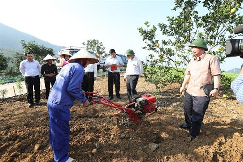 Kiểm tra xây dựng nông thôn mới, thăm các mô hình sản xuất nông nghiệp công nghệ cao tại huyện Thạch Thất ảnh 18