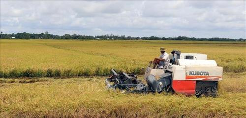 Nông dân xã Vĩnh Phú (huyện Giồng Riềng) thu hoạch lúa Hè Thu 2018. Ảnh: Lê Huy Hải – TTXVN Nông dân xã Vĩnh Phú (huyện Giồng Riềng) thu hoạch lúa Hè Thu 2018. Ảnh: Lê Huy Hải – TTXVN