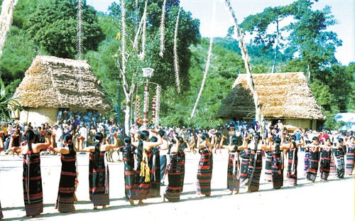 Nhà Moong là nơi đồng bào Cơ-tu tổ chức các buổi sinh hoạt gia đình,dòng tộc Nhà Moong là nơi đồng bào Cơ-tu tổ chức các buổi sinh hoạt gia đình,dòng tộc