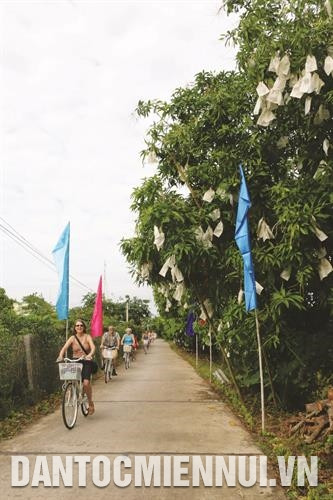 Du khách quốc tế đạp xe tham quan vùng trồng xoài ở xã Tân Thuận Đông, thành phố Cao Lãnh Du khách quốc tế đạp xe tham quan vùng trồng xoài ở xã Tân Thuận Đông, thành phố Cao Lãnh