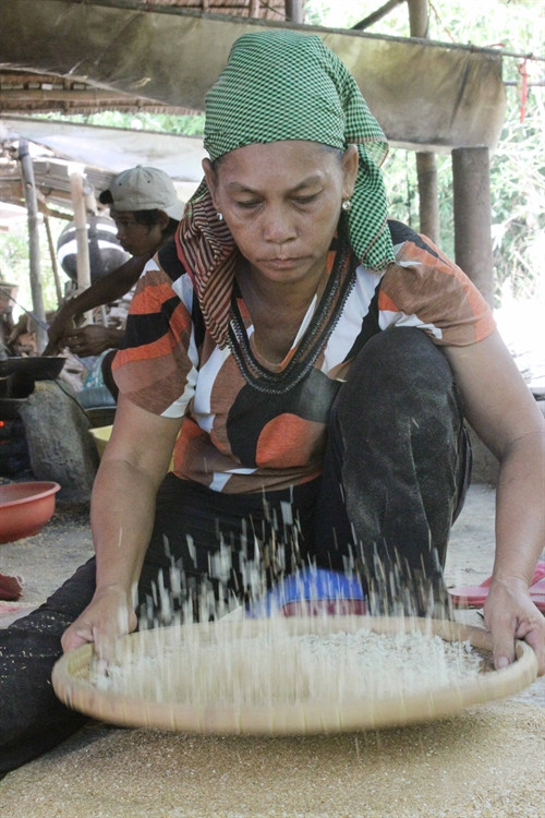 Sàng sảy cốm để chuẩn bị cốm dẹp cho mùa lễ hội Ok Om Bok.