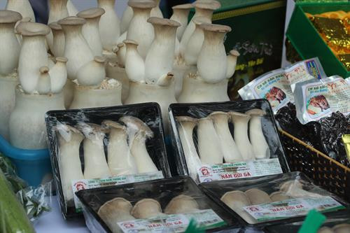 Một số sản phẩm nông sản tiêu biểu được giới thiệu tại Hội nghị. Trong ảnh: Nấm đùi gà – sản phẩm nông sản an toàn của tỉnh Vĩnh Phúc. Ổi Đông Dư - Hà Nội. Tinh nghệ Bắc Kạn. Rau cải thìa (cải chíp) - Nam Định. Gạo lứt Séng Cù - Lào Cai. Hồng xiêm - Đồng Tháp. Nhãn lồng Hưng Yên. Trứng Ba Huân. Một số sản phẩm gạo của Thái Bình.