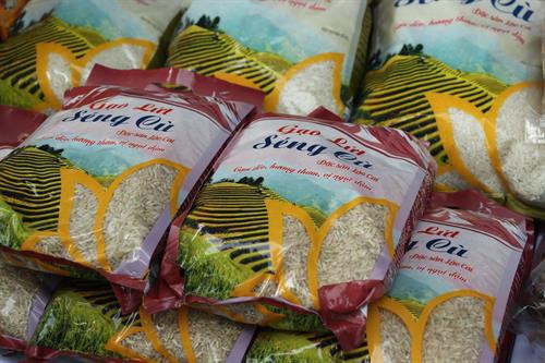 Hà Nội tổ chức kết nối sản xuất - tiêu thụ - phát triển chuỗi cung cấp nông sản an toàn ảnh 14