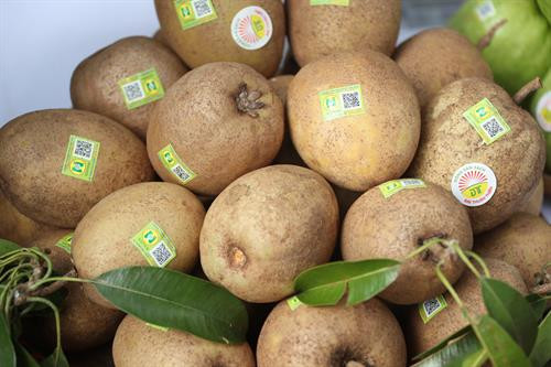 Hà Nội tổ chức kết nối sản xuất - tiêu thụ - phát triển chuỗi cung cấp nông sản an toàn ảnh 15