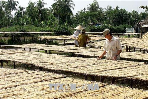 Làng nghề ép chuối khô truyền thống ở xã Trần Hợi (Trần Văn Thời, Cà Mau) góp phần xóa đói giảm nghèo. Ảnh: Huỳnh Thế Anh - TTXVN