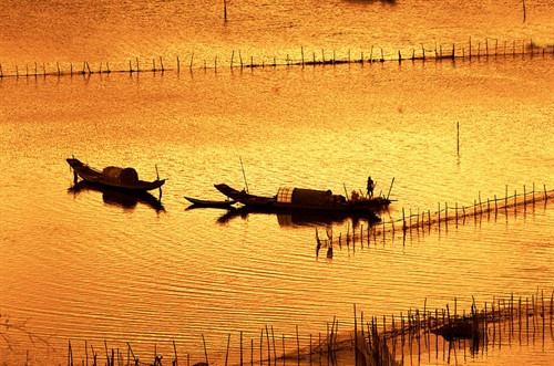 Vẻ hút hồn của Phá Tam Giang - đầm phá lớn nhất Đông Nam Á ảnh 10 Vẻ hút hồn của Phá Tam Giang - đầm phá lớn nhất Đông Nam Á ảnh 10